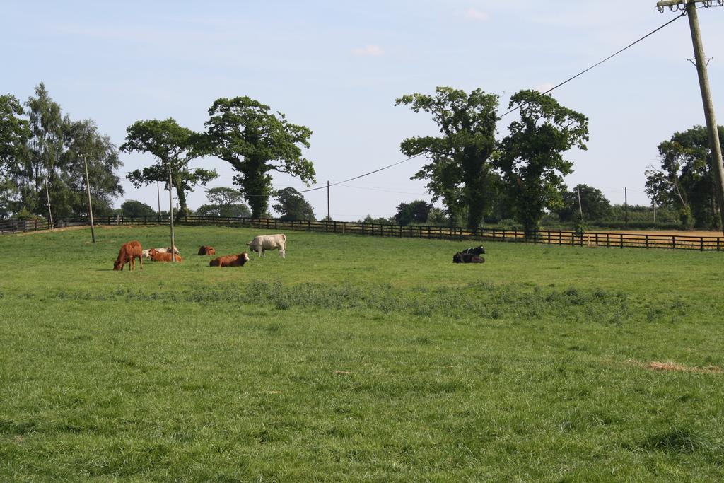 Moate Lodge Athy Buitenkant foto