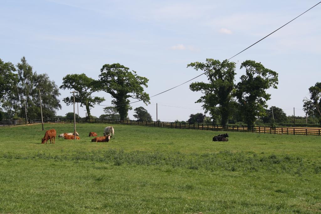 Moate Lodge Athy Buitenkant foto