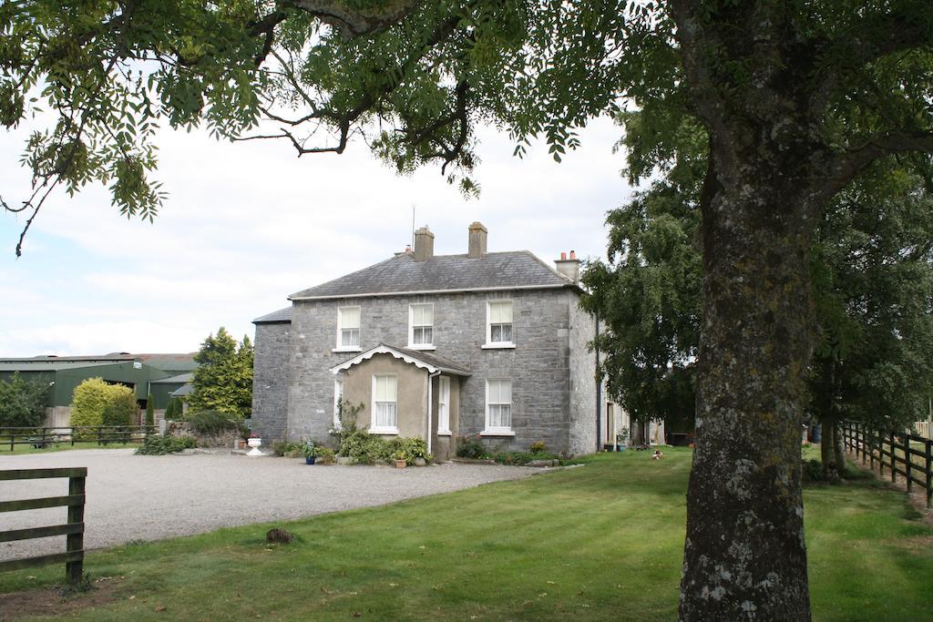 Moate Lodge Athy Buitenkant foto